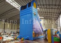 শিশু / প্রাপ্তবয়স্ক নীল inflatable জল স্লাইড দুই লেন সঙ্গে 1 বছরের পাটা