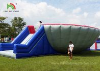 মজার বিগ বোল Bungee Run Inflatable স্পোর্টস গেমস বাণিজ্যিক / ভাড়া গ্রেড
