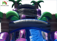সামনের জন্য পুল 30 ফুট বেগুনি সঙ্গে ডুয়েল লেন 0.6 মিমি পিভিসি Inflatable জল স্লাইড