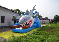 EN14960 কিডস জন্য নমনীয় শুকনো স্লাইড, নীল ডাবল সেলাই Inflatable হাঙ্গর স্লাইড