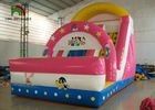 পিভিসি Tarpaulin কিড থিম Amusement পার্ক জন্য বাউন্স হাউস সঙ্গে Inflatable শুকনো স্লাইড