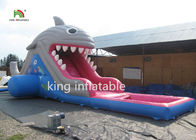 6m উচ্চ হাঙ্গর বাচ্চাদের জন্য ছোট inflatable স্লাইড সঙ্গে জল inflatable জল স্লাইড