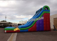 বাণিজ্যিক গ্রেড দৈত্য 24 ফুট দ্বৈত লেন inflatable জল স্লাইড খেলা গেম