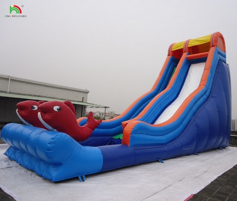 বিনোদন পার্ক শীর্ষ মানের inflatable ঢেউ জল ভিজা স্লাইড ভাড়া ব্যবসার জন্য