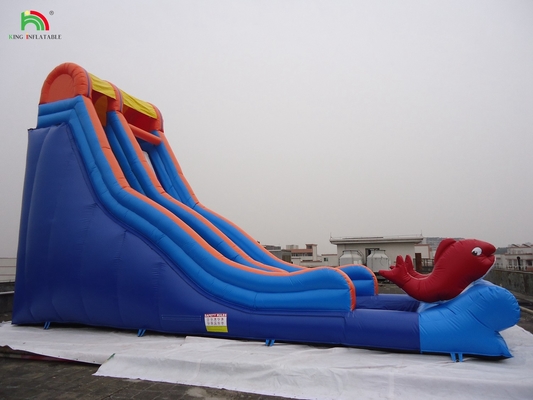 বিনোদন পার্ক শীর্ষ মানের inflatable ঢেউ জল ভিজা স্লাইড ভাড়া ব্যবসার জন্য