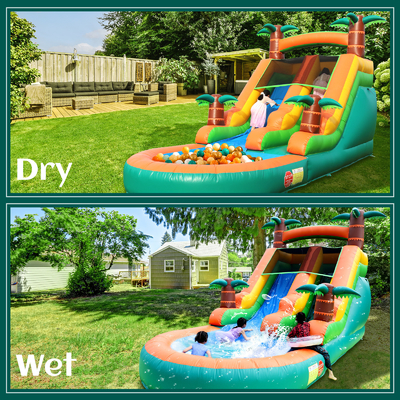 বাণিজ্যিক শুকনো এবং ভিজা জল স্লাইড inflatable গ্রীষ্মমন্ডলীয় Fiesta ব্রীজ কিডস পুল সঙ্গে inflatable জল স্লাইড