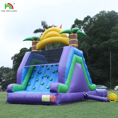 ডাবল লেন ইনফ্ল্যাটেবল ওয়াটার স্লাইড সমন্বয় পুল বাধা সঙ্গে আরোহণের জন্য ইনফ্ল্যাটেবল পুল স্লাইড
