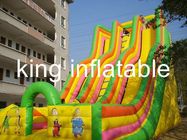 চিত্তবিনোদন পার্ক জন্য দৈত্য ডবল লেন inflatable শুকনো স্লাইড রঙিন কার্টুন মুদ্রণ