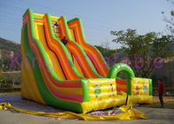 চিত্তবিনোদন পার্ক জন্য দৈত্য ডবল লেন inflatable শুকনো স্লাইড রঙিন কার্টুন মুদ্রণ