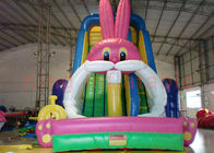 খেলার মাঠ মজার Inflatable শুকনো স্লাইড, বহিরঙ্গন মাল্টিওলর Inflatable প্রাণী স্লাইড