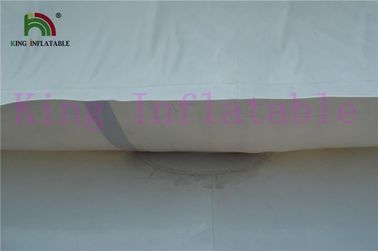 0.9 মিমি পিভিসি Tarpaulin হোয়াইট / সবুজ inflatable জল খেলনা জল পার্ক জন্য জায়ান্ট Iceberg