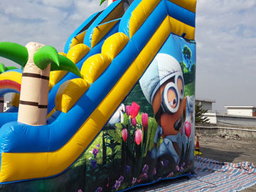 কিডস Inflatable জল স্লাইড
